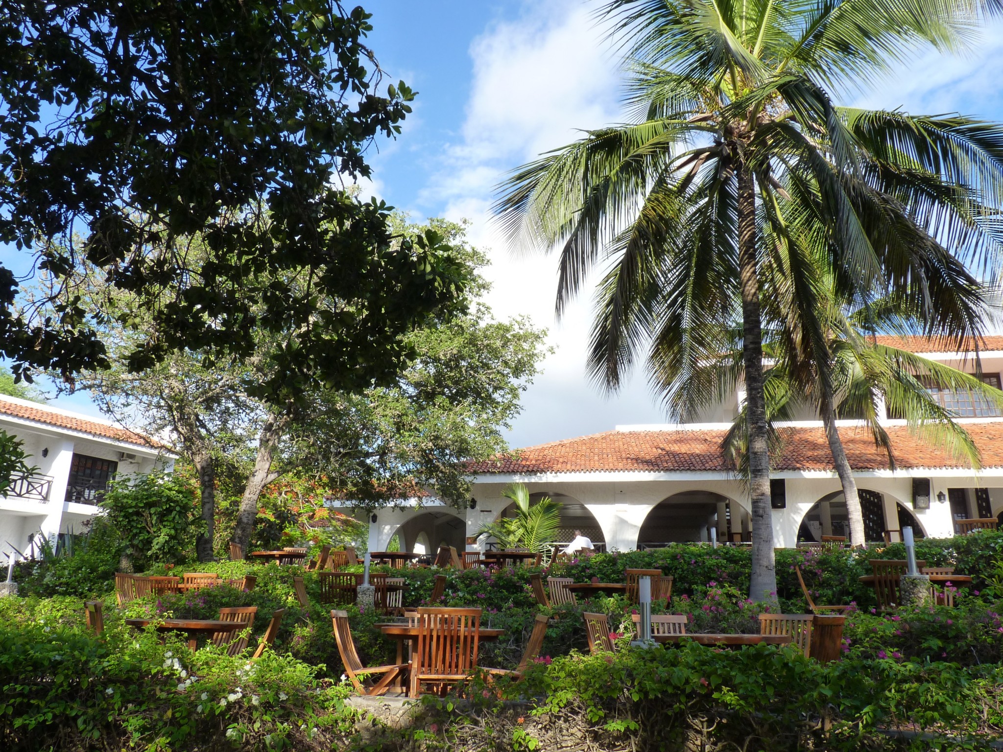 tropischer Garten des Diani Sea Resorts Kenia