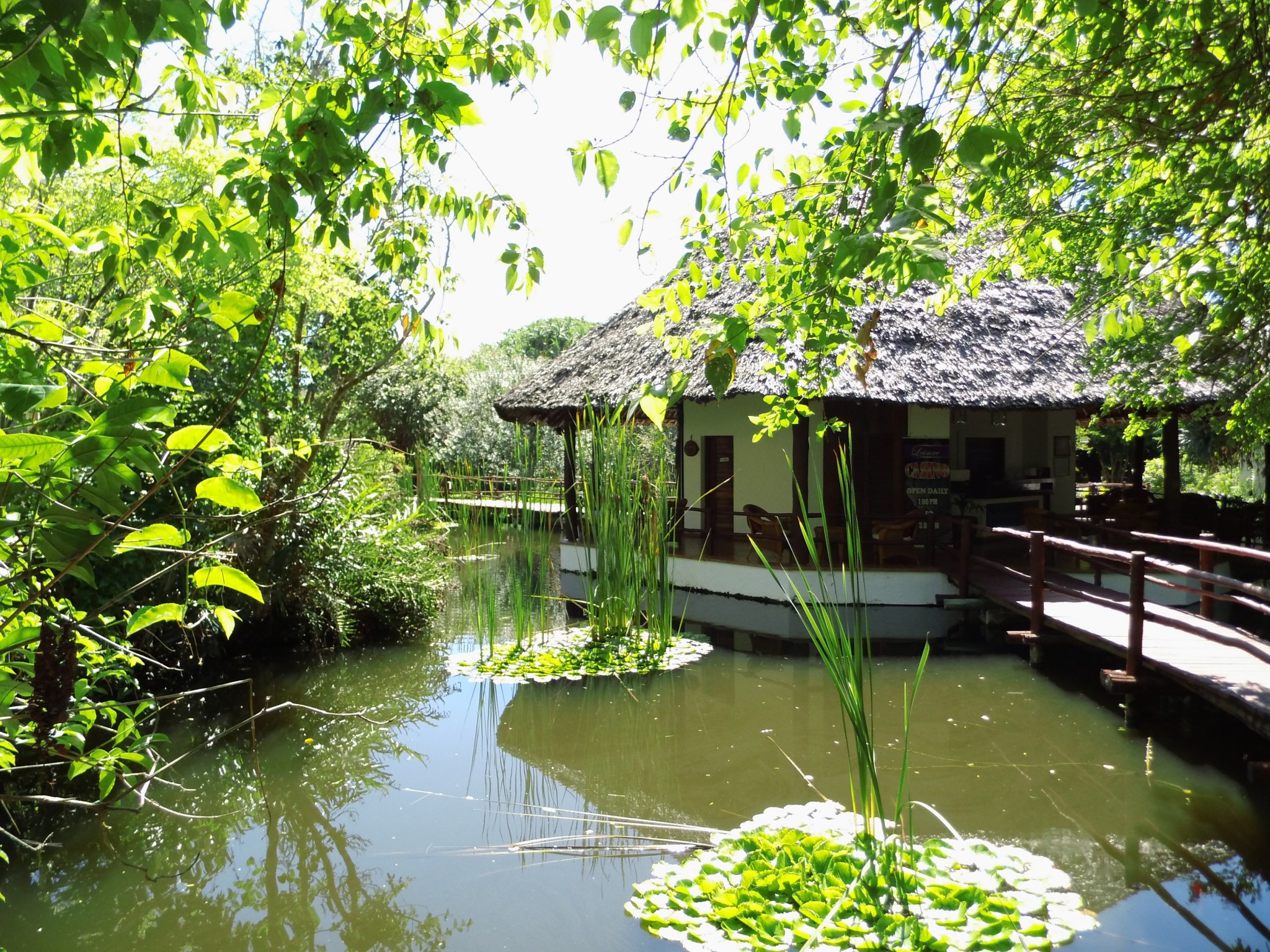 Teich im Garten der Leisure Lodge