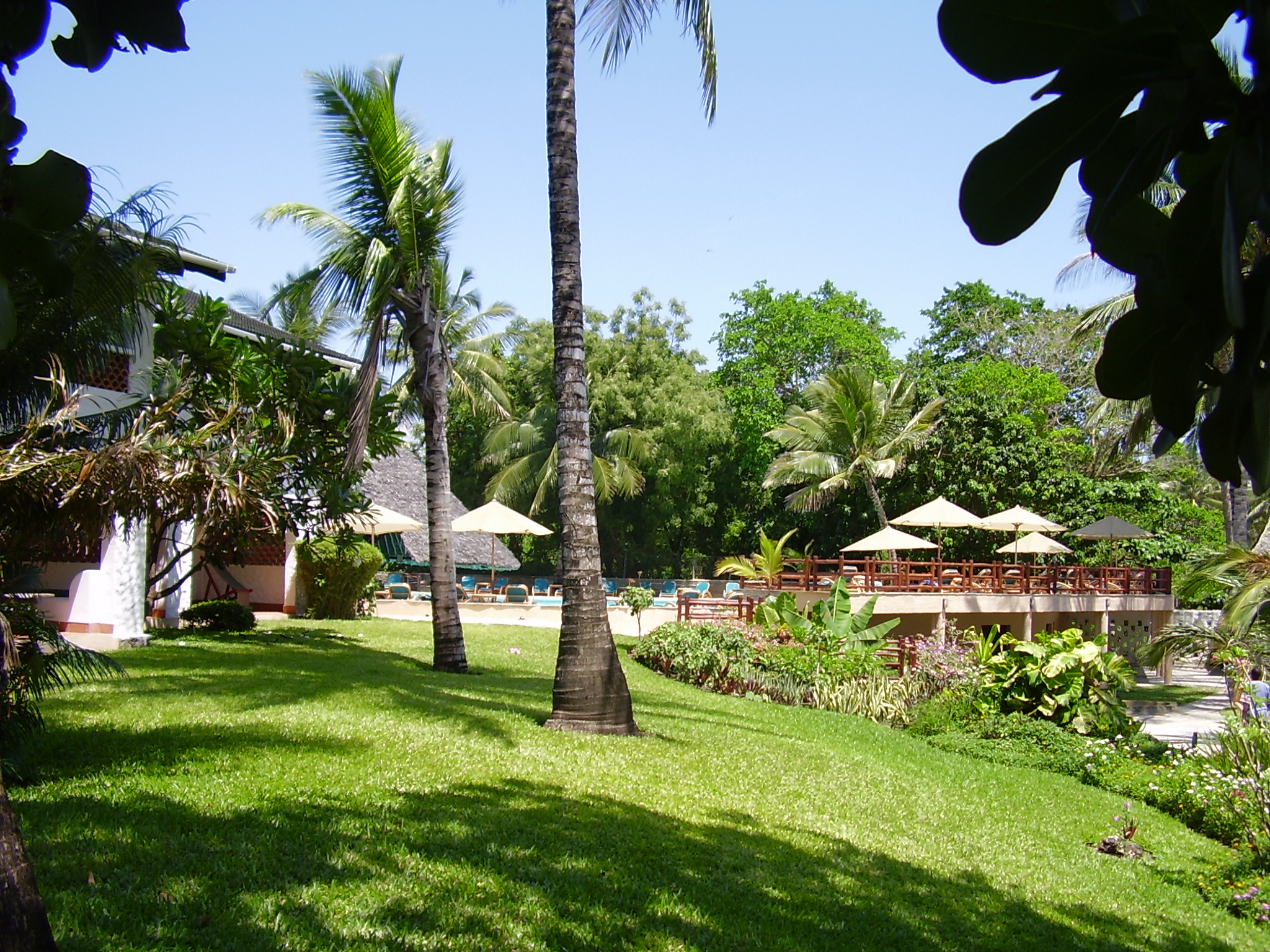 Garten und Pool im Pinewood Beach Resort