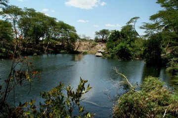 Mzima Springs Tsavo West