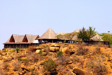 Safaritagebuch Lion Hill Lodge