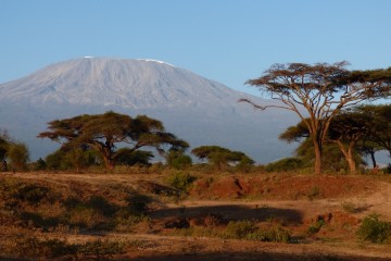 Safaritagebuch Kilimanjaro Amboseli