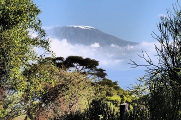 Safaritagebuch Kilimanjaro Amboseli