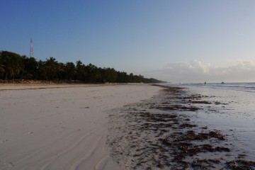 Diani Beach morgens