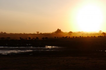 Wasserloch Tsavo East