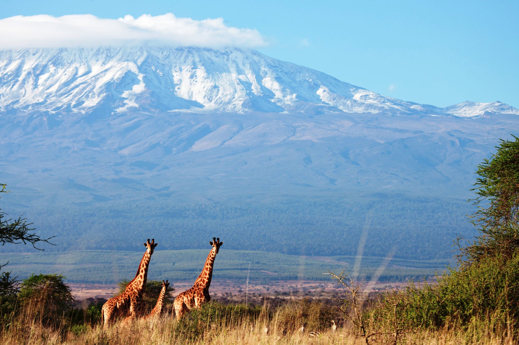Satao Elerai Camp Kenia - Ausblick auf den Kilimanjaro